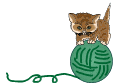 cat on yarn