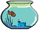 fish in fishbowl